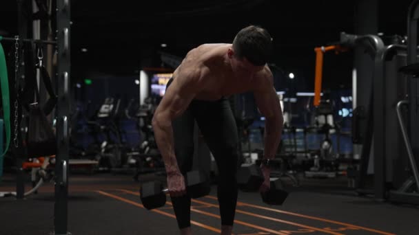 strong sportsman training in sport gym with dumbbell. sport sportsman with dumbbell in gym. sportsman with sport dumbbell equipment in gym - Filmagem, Vídeo