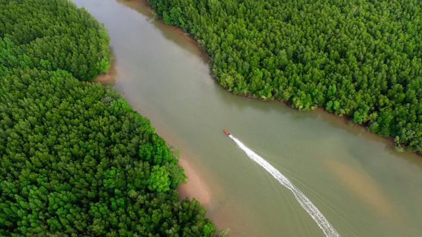 Вид с воздуха на тайский традиционный длиннохвостый катер в заливе Пханг Нга среди плодородных мангровых лесов Андаманского моря, Таиланд. - Фото, изображение