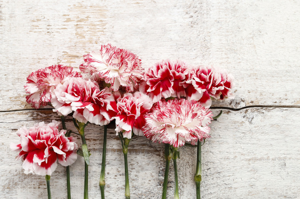 Red and white carnation flowers on wood - Foto, Imagem
