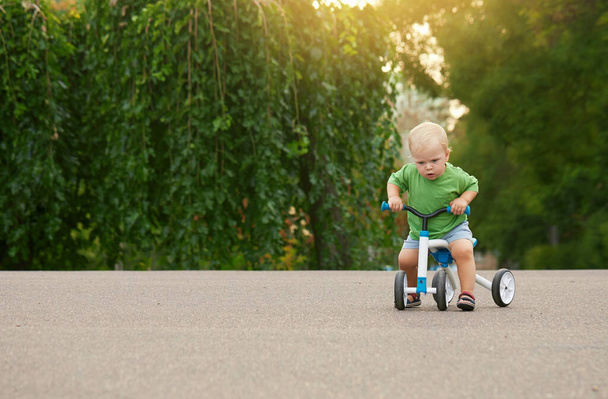 Cute little baby boy rides a balance bike in a summer park. Child learning to ride a bicycle - 写真・画像