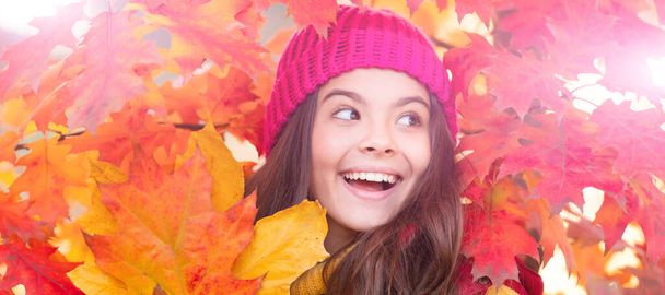 happy child at maple tree red branch. autumn nature. beautiful face portrait. Autumn fall child for poster design. Banner header, copy space - Zdjęcie, obraz