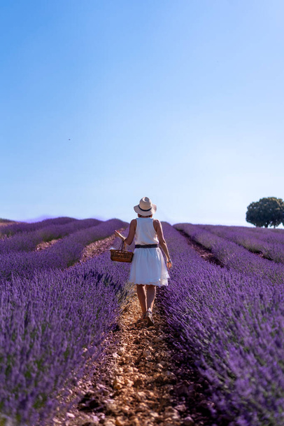 A woman in a white dress in a summer lavender field with a hat and a basket - Φωτογραφία, εικόνα