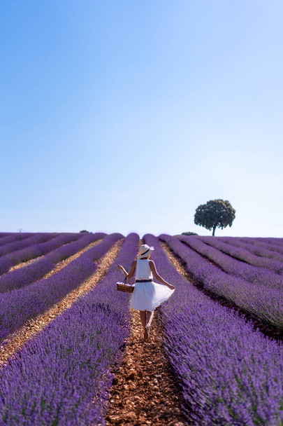 A caucasian woman in a summer lavender field picking flowers, rural lifestyle - Foto, afbeelding