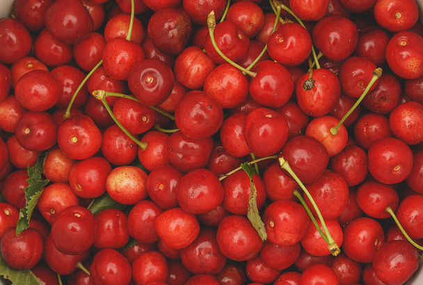 ripe picked and stacked cherries and some with their green stem - Fotografie, Obrázek