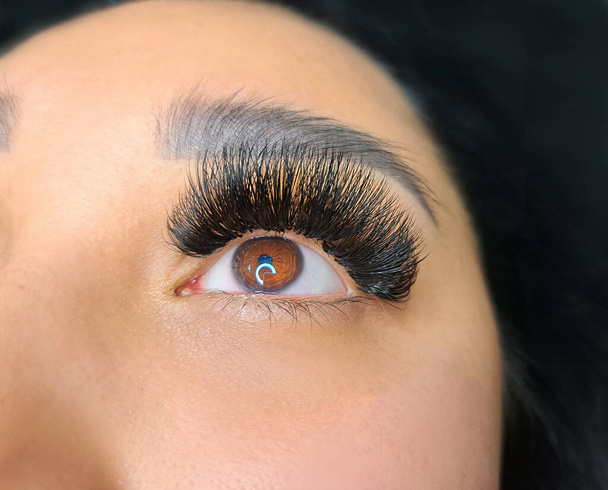 Close up of hazel eye with eyelash Extensions Russian Volume . High quality photo - Foto, immagini
