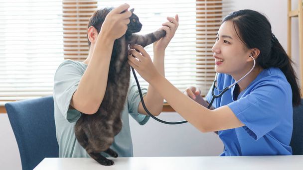 Koncepcja opieki nad zwierzętami, Kobieta weterynarii używać stetoskop do sprawdzania oddechu małego kotka w klinice weterynaryjnej. - Zdjęcie, obraz