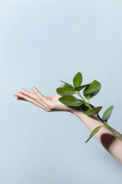beauty hands motion series_holding leaves - Foto, immagini