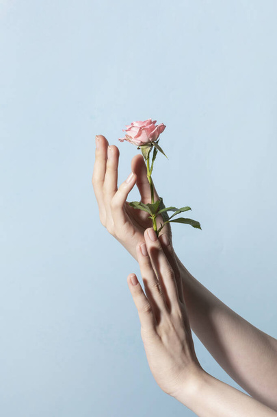 beauty hands motion series_holding roses - Valokuva, kuva