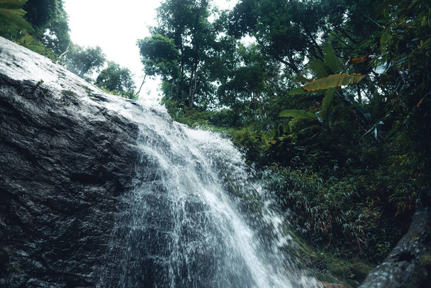 Waterfall in tropical forest   - Фото, изображение