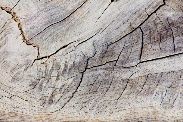 tekstura drewna grunge tło - Zdjęcie, obraz