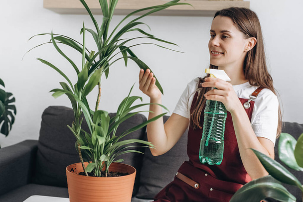 Young woman sprinkles water on indoor houseplant. Housewife busy with housework enjoy process takes care of domestic lush home plants. Good hobby, clean air at home, gardening and housekeeping concept - Foto, afbeelding