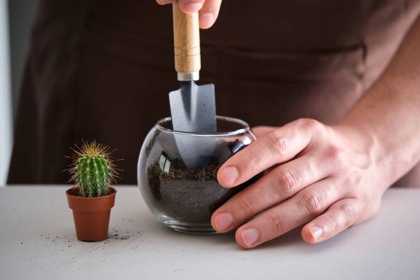 Mans hands filling a crystal vase pot with soil to repot a mini cactus. Home gardening. - Foto, Imagem