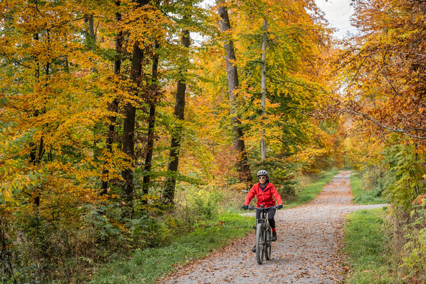 pretty senior woman on electric bicycle in a colorful autumn forest with golden foliage in Baden-Wuerttemberg, Germany - Zdjęcie, obraz