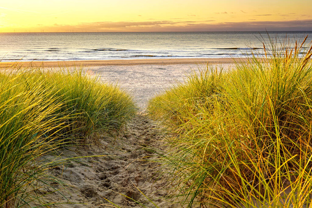 A beautiful sandy path down to the ocean. Footprints in the sand between beach grass. Sunset, golden hour. North Holland dune reserve, Egmond aan Zee, Netherlands. - Foto, Bild