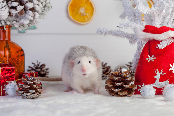 Decorative cute rat on a background of Christmas decorations - Foto, afbeelding