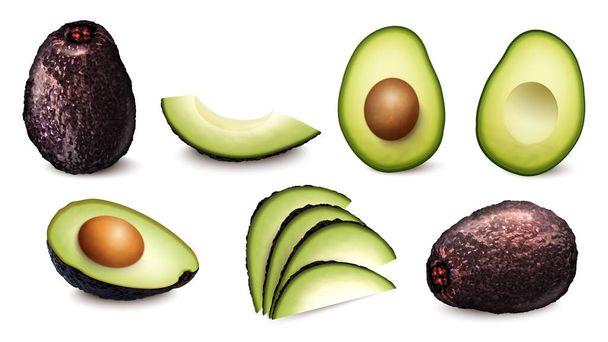 Realistic avocado set with fresh whole fruit halves and slices isolated vector illustration - Vector, Imagen