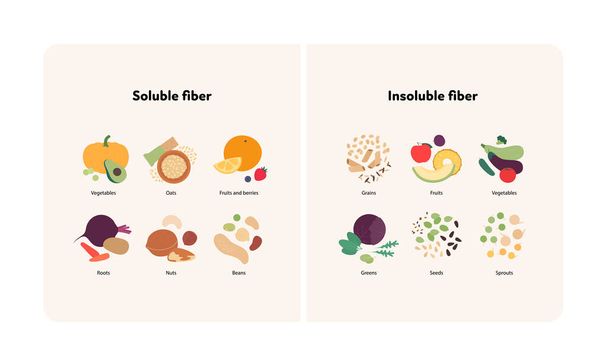 Food guide for healthy eating concept. Vector flat design various soluble and insoluble colorful fiber sources products symbol in frame with labeled text isolated on white background. - Vetor, Imagem