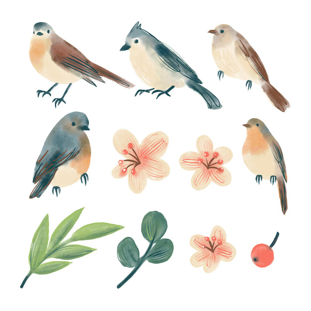 Set of digital watercolor forest birds, twigs and flowers - Foto, afbeelding