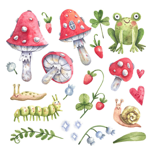 Set of watercolor forest illustrations, fly agaric, wild strawberries, forest plants, frog, snails hand-drawn in watercolor. Cartoon forest illustration isolated on white background. - Fotoğraf, Görsel