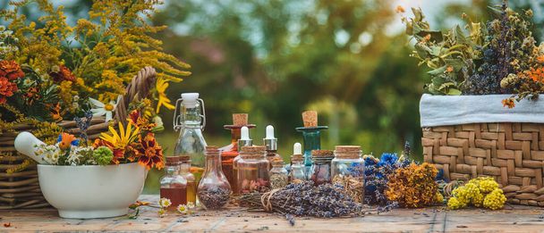 Medicinal herbs and tinctures on the table. Selective focus. Nature. - Foto, Bild