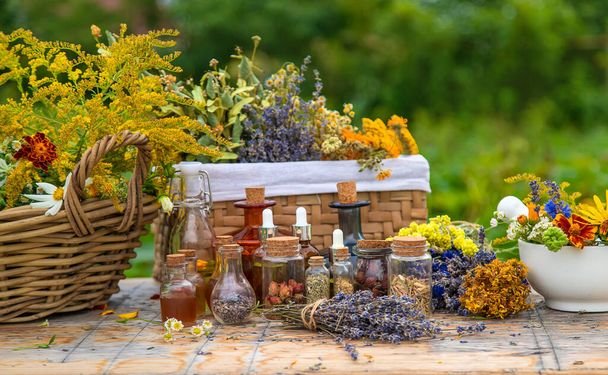 Medicinal herbs and tinctures on the table. Selective focus. Nature. - Photo, image