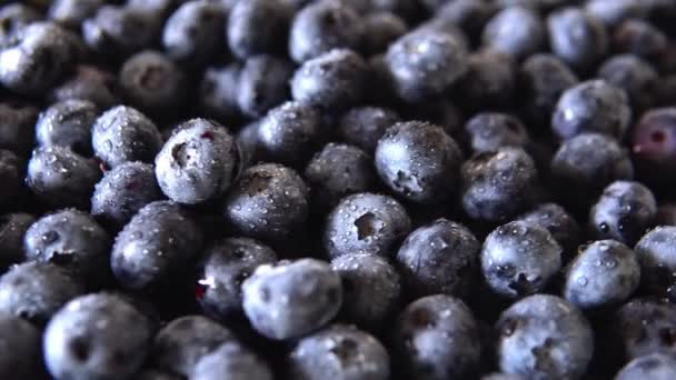 Freshly picked juicy blueberries background, flat lay. Blueberries texture. Concept of healthy nutrition, organic food. Vegan and vegetarian - Filmati, video
