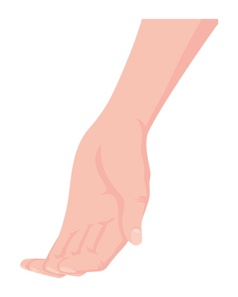 Hände menschliche Empfangsgeste Symbol - Vektor, Bild