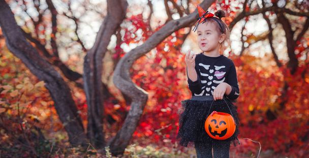 Young girl in black costume goes trick or treating. Little witch, Kids with jack-o-lantern. Children with candy bucket in fall forest. Happy Halloween. - Photo, image