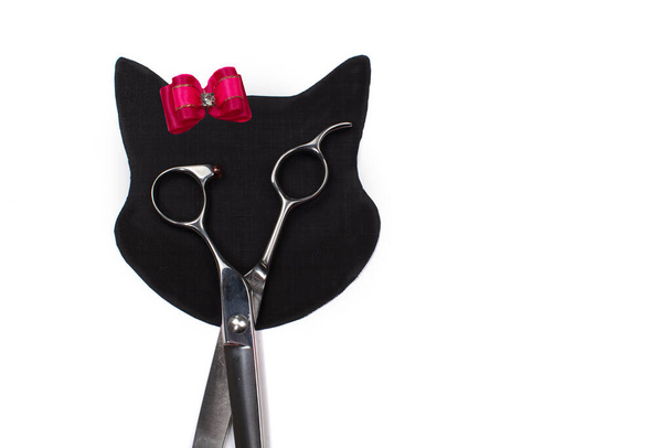 Set of different combs and brushes for grooming pets on a white background with shadow reflection. A creative cat figurine made from grooming tools. - Foto, Imagem