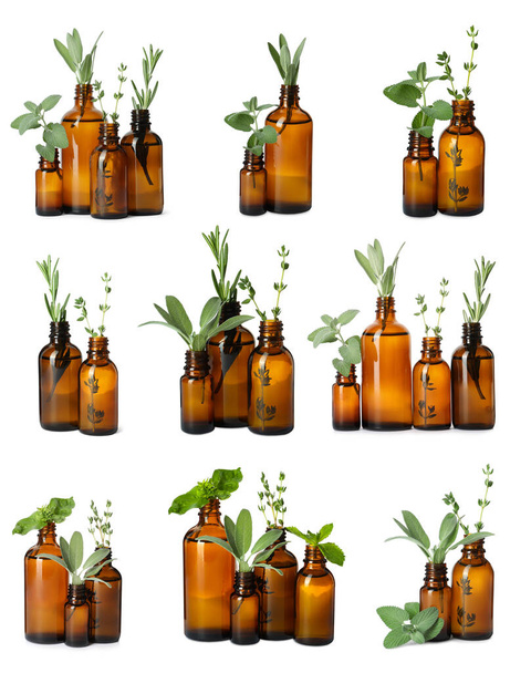 Set with bottles of different essential oils and leaves on white background - Fotoğraf, Görsel