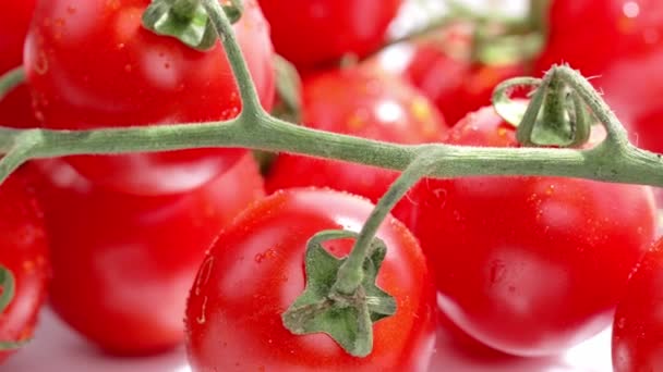 Closeup of cherry tomatoes. High quality 4k footage - Felvétel, videó