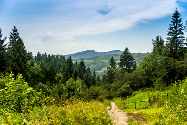 a rural landscape at carpathian mountains, Skole Beskids National Nature Park, Lviv region of Ukraine - Foto, Imagen