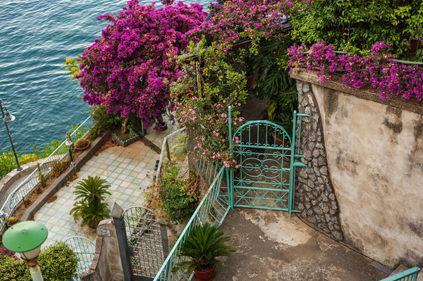 Beautiful blooming Italian courtyard at a seaside villa in southern Italy. - Photo, image