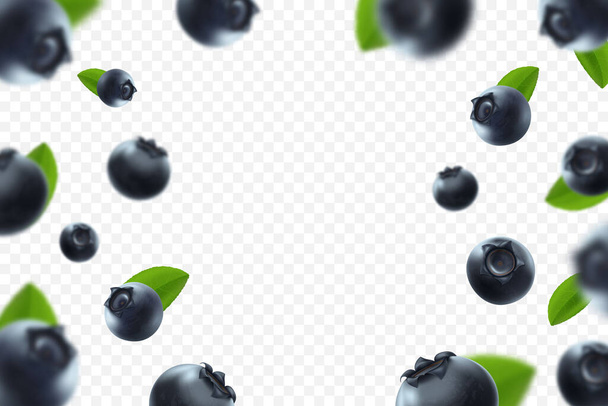 Blueberry background. Fresh berry with green leaves on transparent background. Flying defocusing blueberry berries. 3D realistic fruits. Falling blueberry. Nature product. Vector illustration. - Вектор,изображение