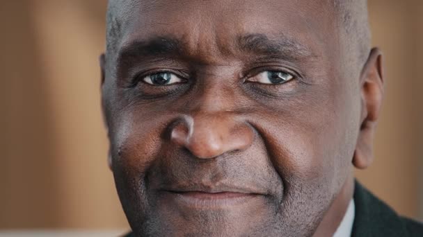 Closeup male portrait headshot face with wrinkles African American adult 60s old senior mature businessman in formal suit elderly citizen man looking at camera smiling with toothy smile posing indoors - Footage, Video