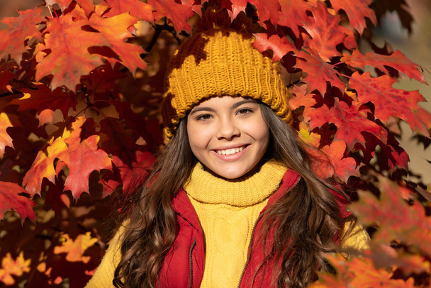 positive child in hat standing at autumn leaves. - Photo, image
