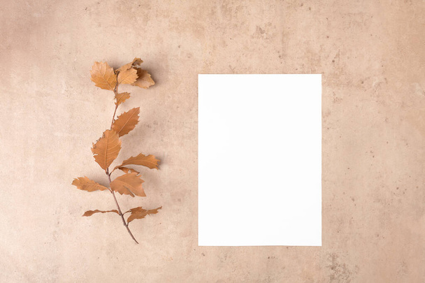 Осенний чистый макет открытки на День благодарения на естественном бежевом фоне. Подготовка к праздникам и творческий макет. Поздравительная открытка на День благодарения, плоский узор, соотношение 5х7, похоже на А6, А5 - Фото, изображение
