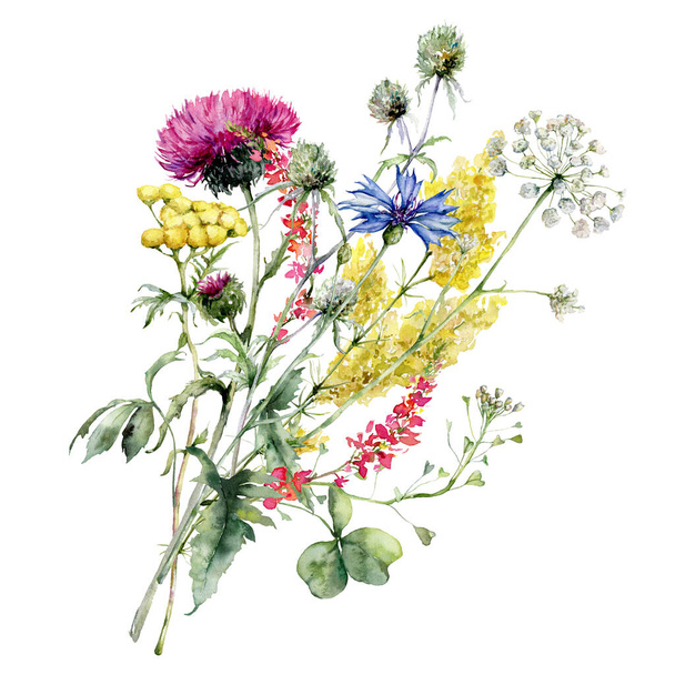 Watercolor meadow flowers bouquet of thistle, cornflower and blueberry. Hand painted floral poster of wildflowers isolated on white background. Holiday Illustration for design, print, background - Photo, Image
