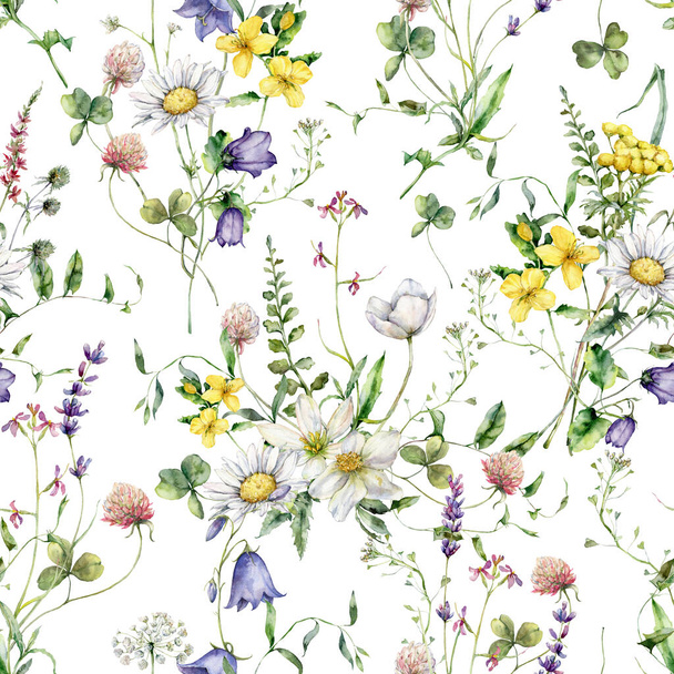 Watercolor meadow flowers seamless pattern of chamomile, buttercup, tansy and campanula. Hand painted floral illustration isolated on white background. For design, print, fabric or background - 写真・画像