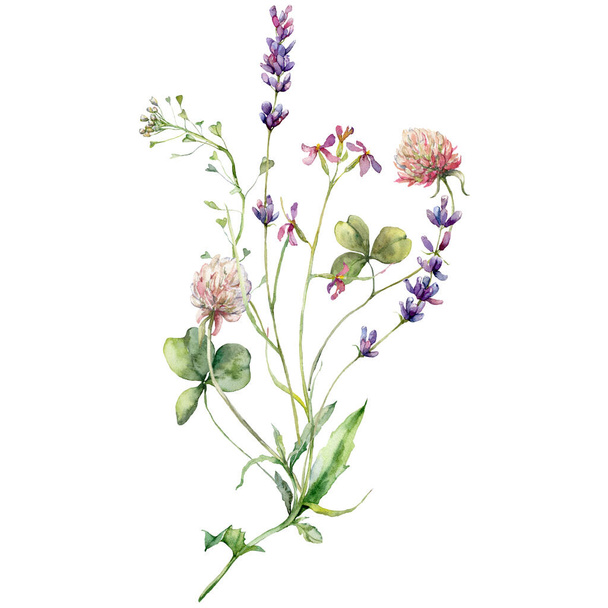 クローバー、ラベンダー、カプセルの水彩牧草地の花花束。白い背景に孤立した野花の手描きの花のポスター。デザイン、印刷、背景のための休日のイラスト - 写真・画像