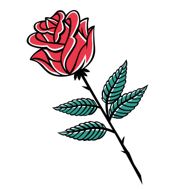 Изолированная роза средних больших фаз цветной рисунок вектор рисунок - Вектор,изображение