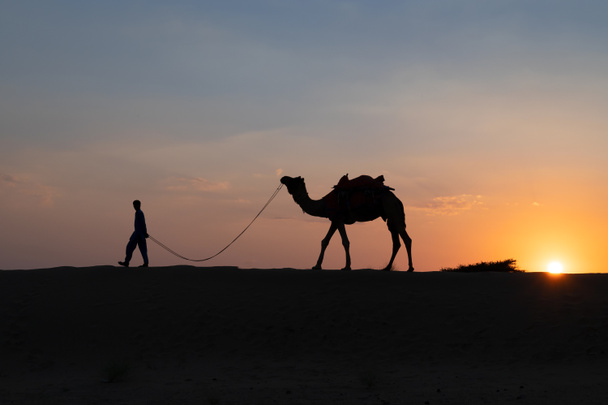 Silhouette of a young cameleer leading a camel into sand dunes. Setting sun with blue sky in the background. - Fotografie, Obrázek