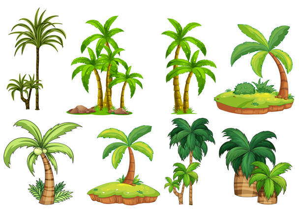 Palmiye ağaçları - Vektör, Görsel