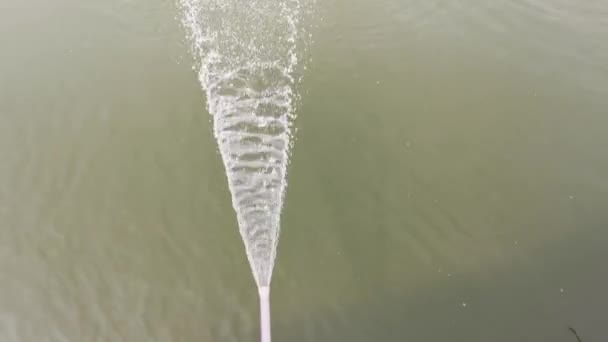 water flowing from PVC pipe line into the pond. - Video, Çekim
