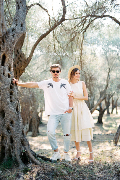 Man and woman stand near an olive tree in a grove. High quality photo - Foto, Bild