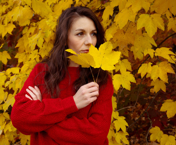 Брюнетка в красном свитере смотрит вдаль на фоне желтой осенней листвы. Женский осенний портрет - Фото, изображение