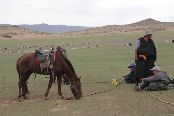 in the land of mongolia the nature and environment - Foto, immagini