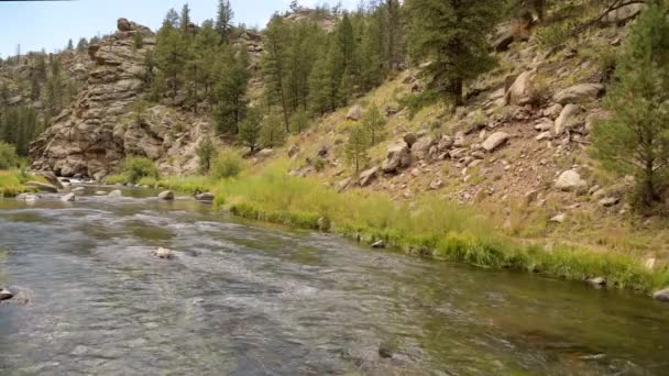 South Platte River στο Colorado Eleven Miles Canyon κοντά στη λίμνη George, CO - Πλάνα, βίντεο