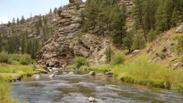 Colorado Eleven Miles Canyon South Platte River - Materiał filmowy, wideo