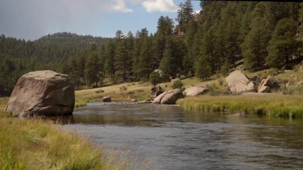 Γραφικό Rocky Eleven Miles Canyon South Platte River στην πολιτεία του Κολοράντο - Πλάνα, βίντεο